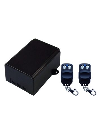 ENSA 2 Channel Mains Voltage RF Receiver - ENSA-RS1