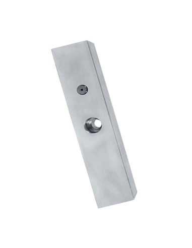 VIP Vision Aluminium Mortise Mount Magnetic Lock MAGLOC100M