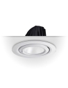ENSA 60W Premium Adjustable LED Downlight (5500K) - LEDDL60W5KR