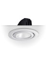 ENSA 60W Premium Adjustable LED Downlight (3000K) - LEDDL60W3KR