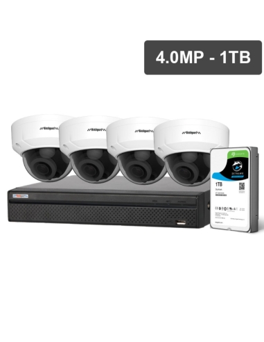 Watchguard Compact Series 4 Camera 4.0MP IP Surveillance Kit (Motorised, 1TB)