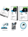 10TB Surveillance Hard Disk Drive - SkyHawk