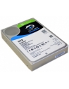 10TB Surveillance Hard Disk Drive - SkyHawk