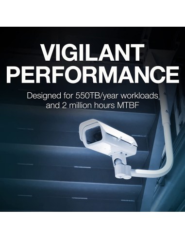 Seagate 8TB SkyHawk AI Surveillance Hard Disk HD8TBSA