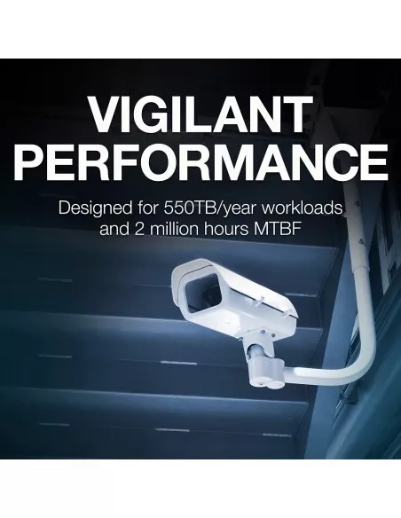 Seagate 8TB SkyHawk AI Surveillance Hard Disk HD8TBSA