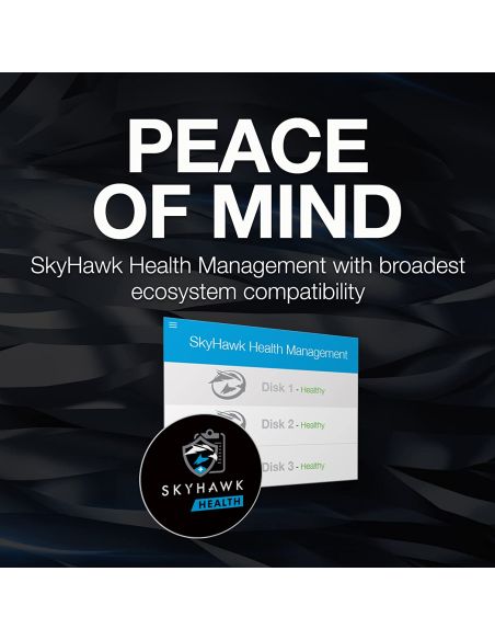 Seagate 8TB SkyHawk AI Surveillance Hard Disk HD8TBSA