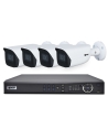 VIP Vision 8MP 8100 Series 8Ch AI IP NVR 2TB 4xBIRG Fixed Lens Bullet Cameras (8x4)