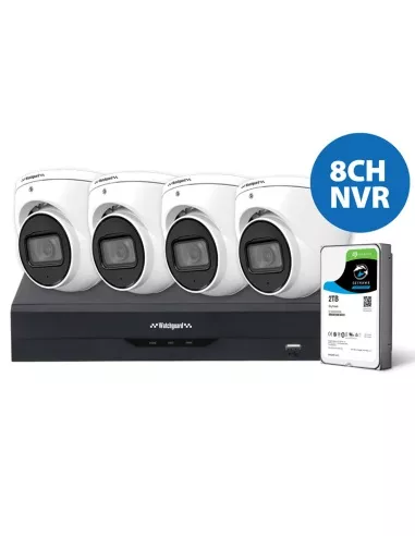 LA Series surveillance system setup displaying the NVR and 4 cameras installed