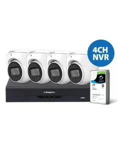 Front view of the LA Series 4-Channel 6MP AI Surveillance Kit with 4 AI Cameras 2