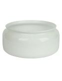 Spare Fan Glass Clipper - F30/201-RG