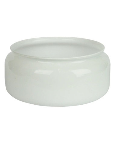Spare Fan Glass Clipper - F30/201-RG