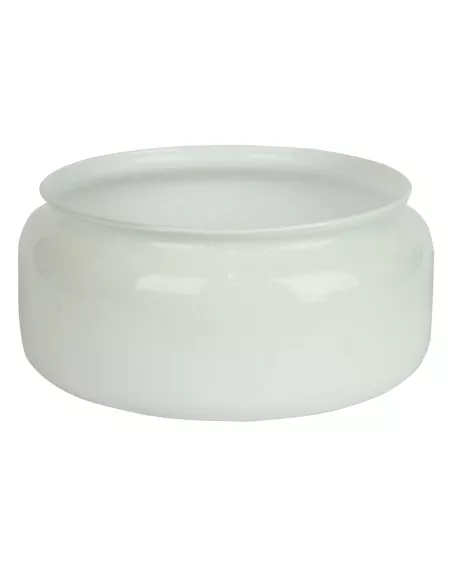 Spare Fan Glass Clipper - F30/201-RGF30/201-RG