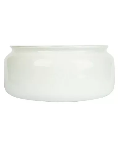 Spare Fan Glass Clipper - F30/201-RGF30/201-RG