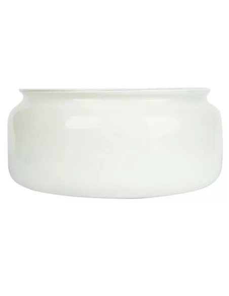 Spare Fan Glass Clipper - F30/201-RGF30/201-RG