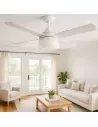 Spare Fan Glass Clipper - F30/201-RG