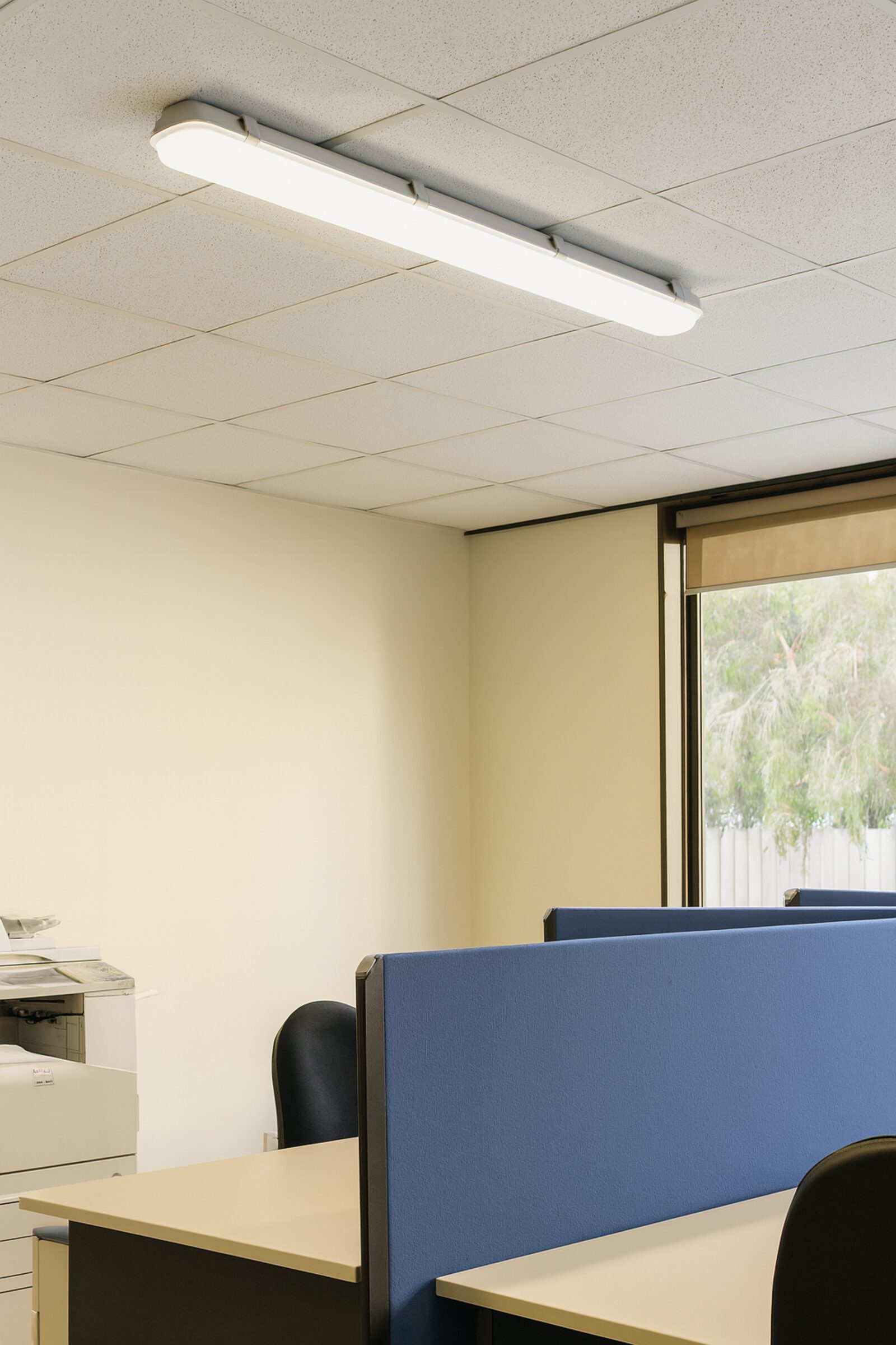 Rapid LED HAWK weatherproof LED batten installed in a commercial ceiling