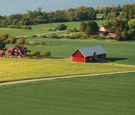 Farm surveillance